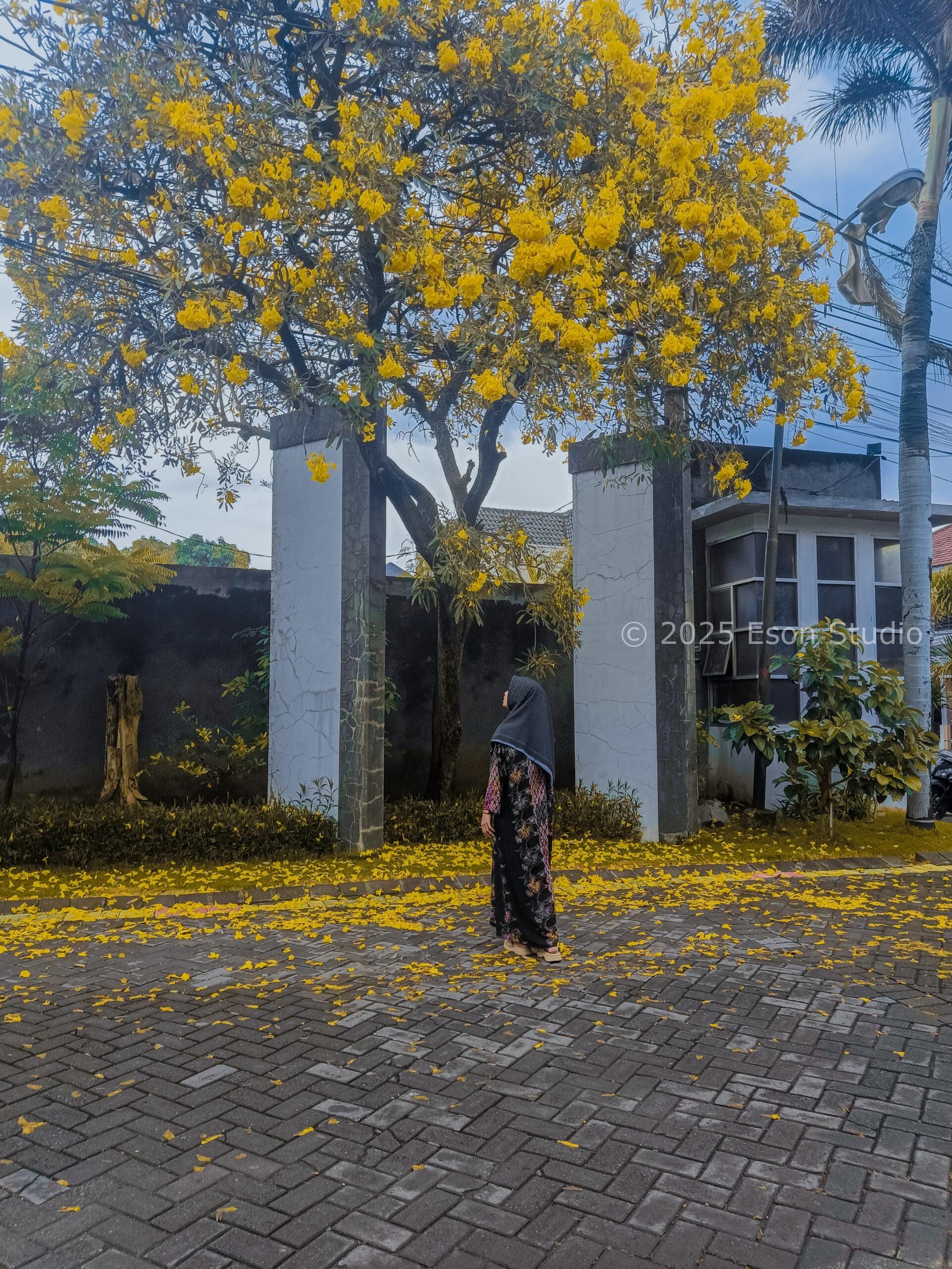 Galeri 6